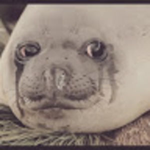 Meet your Posher, Adam